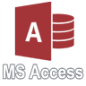 Microsoft Access Application Development